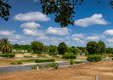 Renaissance Marigold Meadows - Bagalur